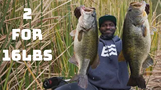 Catching GIANT Bass On A BIG $500 Trout Swimbait!