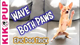 Wave BOTH paws - Advanced Dog Trick Tutorial