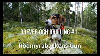 Drever och drilling #1