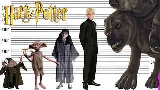 Harry Potter Size Comparison | Characters, Magical Creatures and Monsters Heights