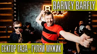 Сектор Газа - Гуляй мужик (cover by BARNEY BARFLY)