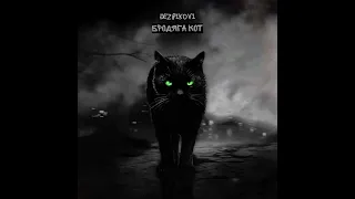 DEZ PIKOVI - Бродяга кот | Премьера 2023