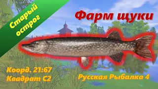 РР4! Фарм Щуки на Остроге! Рабочая Точка.