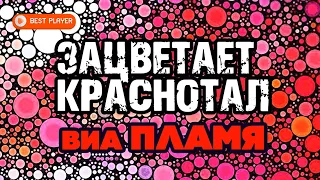 ВИА Пламя - Зацветает краснотал (Сборник 2020) | Русская музыка