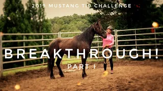 Breakthrough! (Part I) | 2019 Mustang TIP Challenge