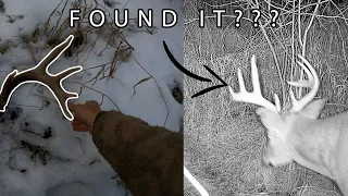 SHED HUNTING 2022 - WE FOUND HIS LEFT SIDE!!!