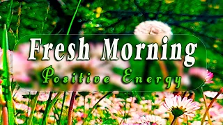 🌿🌞 Begin Your Day with the POSITIVE ENERGY of Healing Spring Sounds 🌻Fresh Morning Meadow Ambience#4