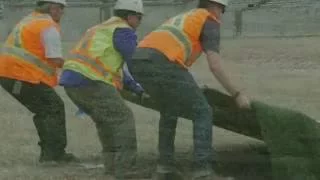 Rolling out the Green Carpet: Installing Turf at new Mosaic Stadium