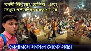 Banaras | কাশী বিশ্বনাথ মন্দির অন্নপূর্ণা মন্দির ও আরতি দর্শন   | Kashi Biswanath Dham | Ganga Aarti