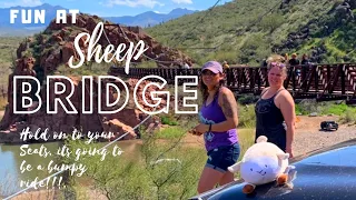 Adventure Fun at Sheep Bridge Hot Springs. The Long Bumpy Ride to The HIDDEN OASIS in the desert.