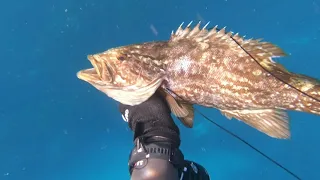 SPEARFISHING  ISRAEL  דייג בצלילה חופשית  Trevgoda Eric