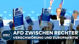 "AFD WIRD IMMER RADIKALER": Verfassungsschutz alarmiert – Rechtextreme Strömung wird immer mächtiger