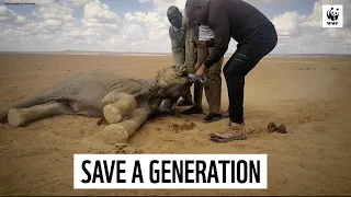 SAVE A GENERATION
