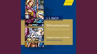 Christmas Oratorio, BWV 248: Part III: Recitative: Ja, ja, mein Herz soll es bewahren … (Alto)