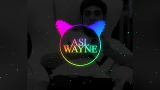 ASL WAYNE - FALSAFA (music video)