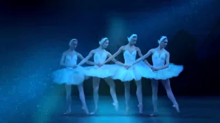 Swan Lake - Pas de Quatre (2007) Mariinsky Ballet