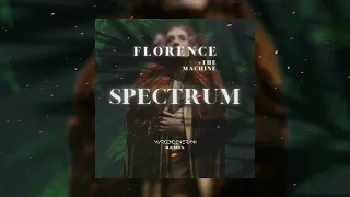 Florence & The machine - Spectrum (Say my name) [Marco Generani remix]