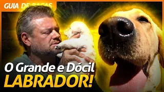 LABRADOR RETRIEVER, O GRANDÃO BRINCALHÃO! | RICHARD RASMUSSEN