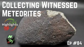 Collecting Witnessed Meteorites ☄️ Show & Tell Hangout Highlights #84