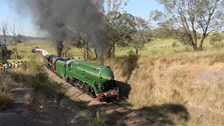 Australian steam locomotives 3001, 3526, 3801 & R766 - Thirlmere Festival of Steam - March 2023