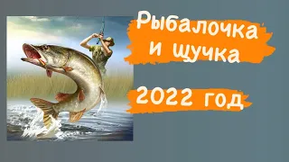 Лето поздно началось 2022 год