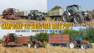 Campagna trebbiatura mais 2021 | Fiatagri-Laverda 3550 | Lamborghini Premium 1800 | New Holland TL90