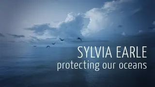 Sylvia Earle on Protecting Our Oceans