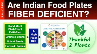 Are Indian Food Plates Fiber Deficient?