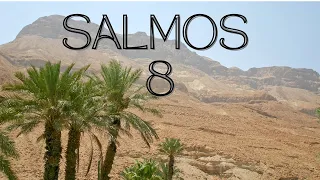 SALMOS 8 /LA GLORIA DE DIOS Y LA HONRA DEL HOMBRE