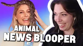 Reved REAGIERT auf ANIMAL NEWS BLOOPERS! 😂