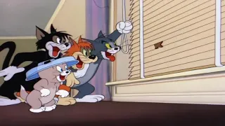 Tom & Jerry | Saturday Evening Puss | Part 2