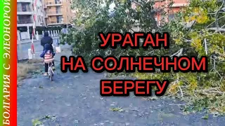 Последствия Урагана и Шторм в Болгарии, Солнечный Берег