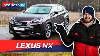 Lexus NX - Najładniejszy SUV na naszym rynku? | Test OTOMOTO TV