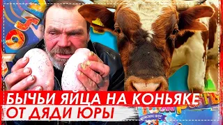 ТРЭШ ВЫПУСК  БЫЧЬИ ЯЙЦА В КОНЬЯКЕ