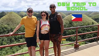 Bohol Day trip from Cebu -  Man-made Forrest - Chocolate hills - Tarsier monkeys -