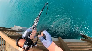 COMBAT Fishing For Pier Giants!