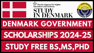 Fully Funded Denmark Government Scholarships 2024-2025 for Bachelors, Masters, PhD Easy Application