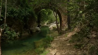 Puente de las Herrerías - Río Guadalquivir (Andalucía)