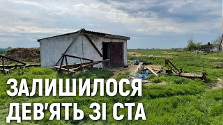 Фронтове село Миколаївщини. Як живуть люди, які відмовилися покидати рідні домівки