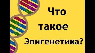 Что такое эпигенетика?