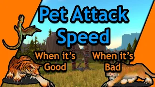 Hunter Pet Misconceptions - Classic WoW