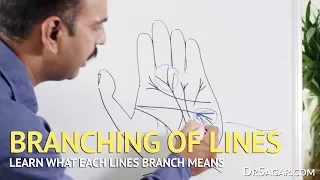 Branching of Lines in Hand | Palmistry