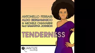 Antonello Ferrari, Aldo Bergamasco - Tenderness (Michele Chiavarini Remix)