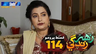 Zahar Zindagi - Ep 114 Promo | Sindh TV Soap Serial | SindhTVHD Drama