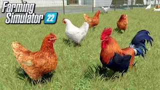 Hodowla kur 🐔 - Farming Simulator 22 | #12