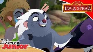 😍🎶 Przyjaciele aż po kres | Lwia Straż | Disney Junior Polska