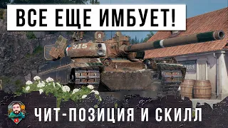 ОКАЗАЛОСЬ ЭТОТ ТАНК ВСЕ ЕЩЕ ИМБА В МИРЕ ТАНКОВ! ЧИТ-ПОЗИЦИЯ И СКИЛЛ РЕШАЮТ ДАЖЕ В 2024 ГОДУ!