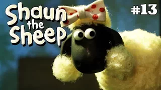 The Dog Show | Shaun the Sheep Season 4 | Full Episode