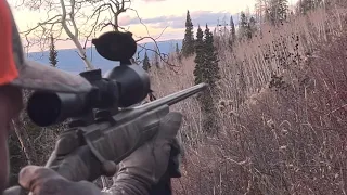 2021 CO Elk 1st Rifle Success
