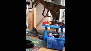 Cat VS Dinosaur - Who will be scared?